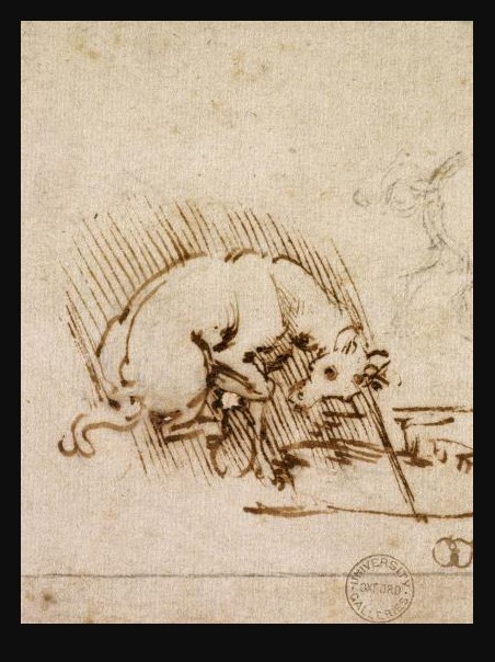 leonardo da vinci - notebooks